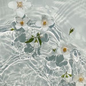 Meet your Posher, Bethie